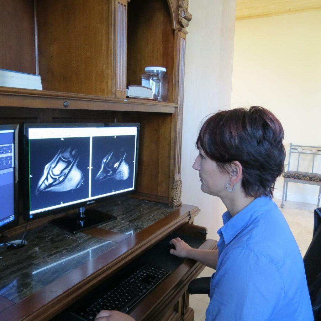 Dr. Sarah Puchalski Palm Beach Equine Clinic Radiology