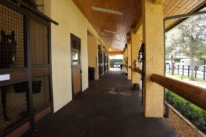 palm beach equine clinic hospital barn aisle