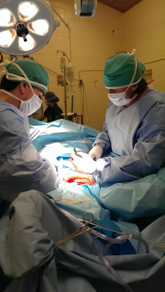 Dr. Weston Davis surgery palm beach equine clinic