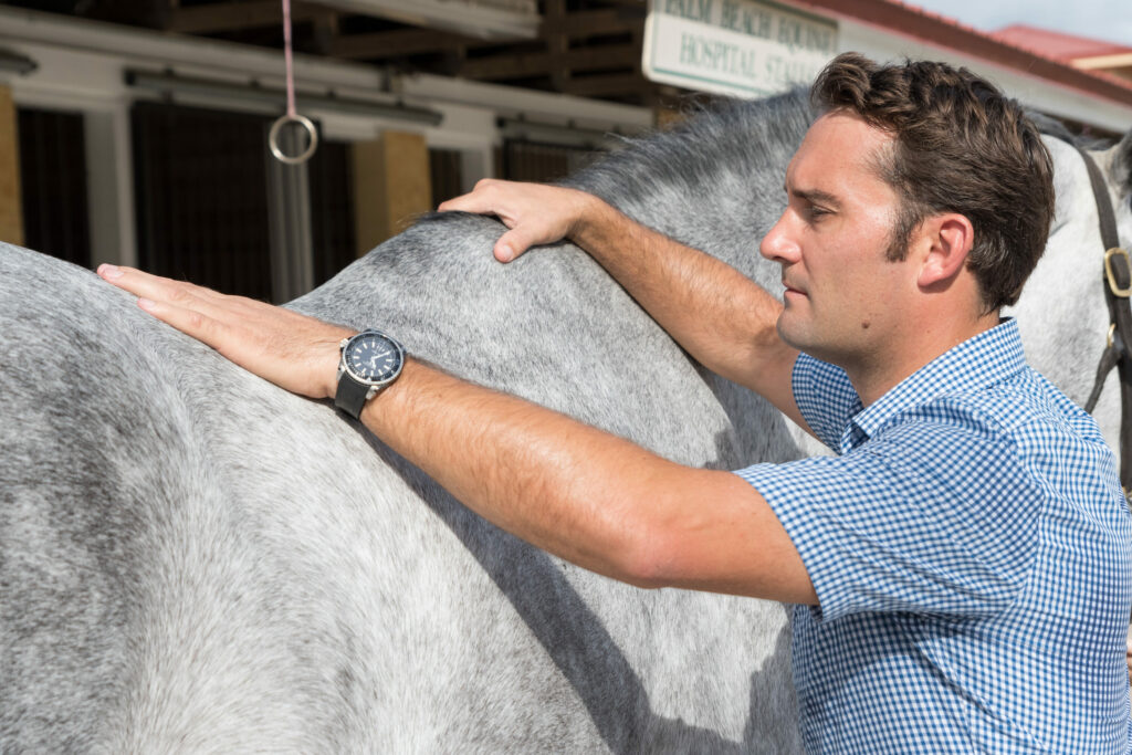 About Palm Beach Equine Clinic Leaders in Equine Veterinary Medicine