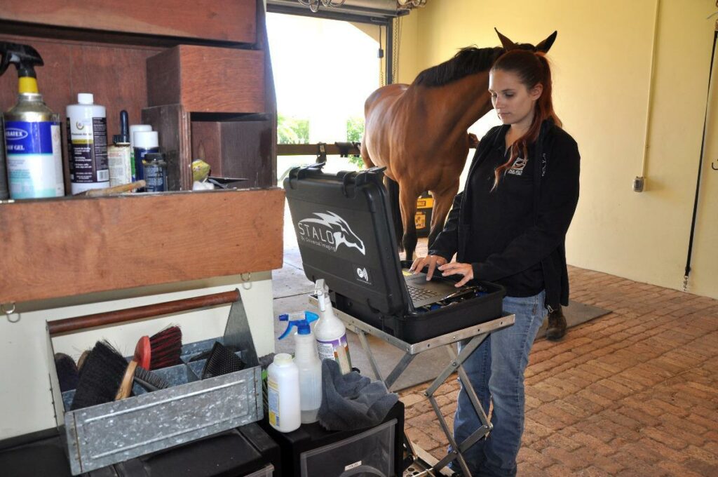 Meet Palm Beach Equine Clinic Veterinary Technician Brianna Ploskunak
