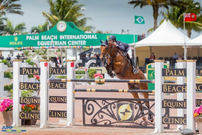 Internship & Externship Palm Beach Equine Clinic