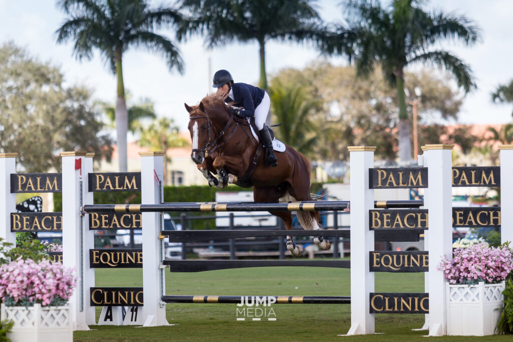 Palm Beach Equine Clinic Continues Dedication to Equestrian Community as Official Veterinarians of 2020 WEF and AGDF Circuits