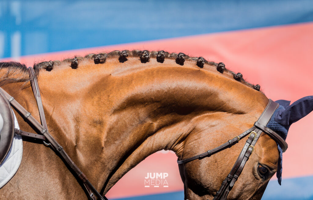 A Link Between Neck Issues and Lameness