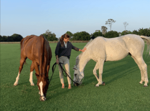 Palm Beach Equine Clinic Veterinary TechnicianBrittany Halstead