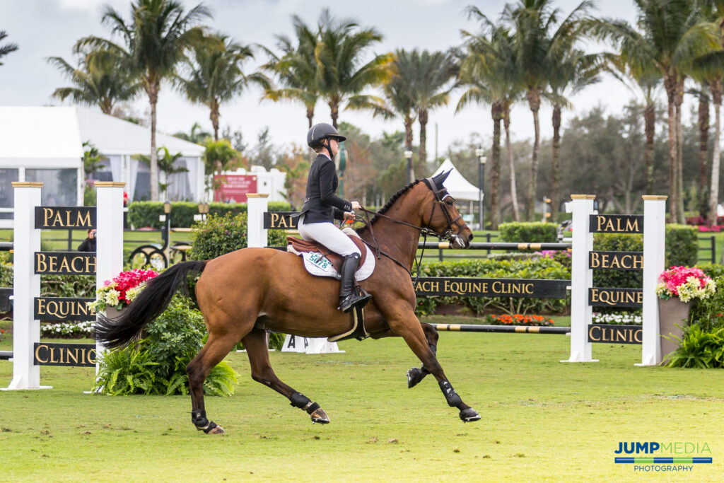 Understanding Energy Support for the Performance Horse Palm Beach Equine Clinic