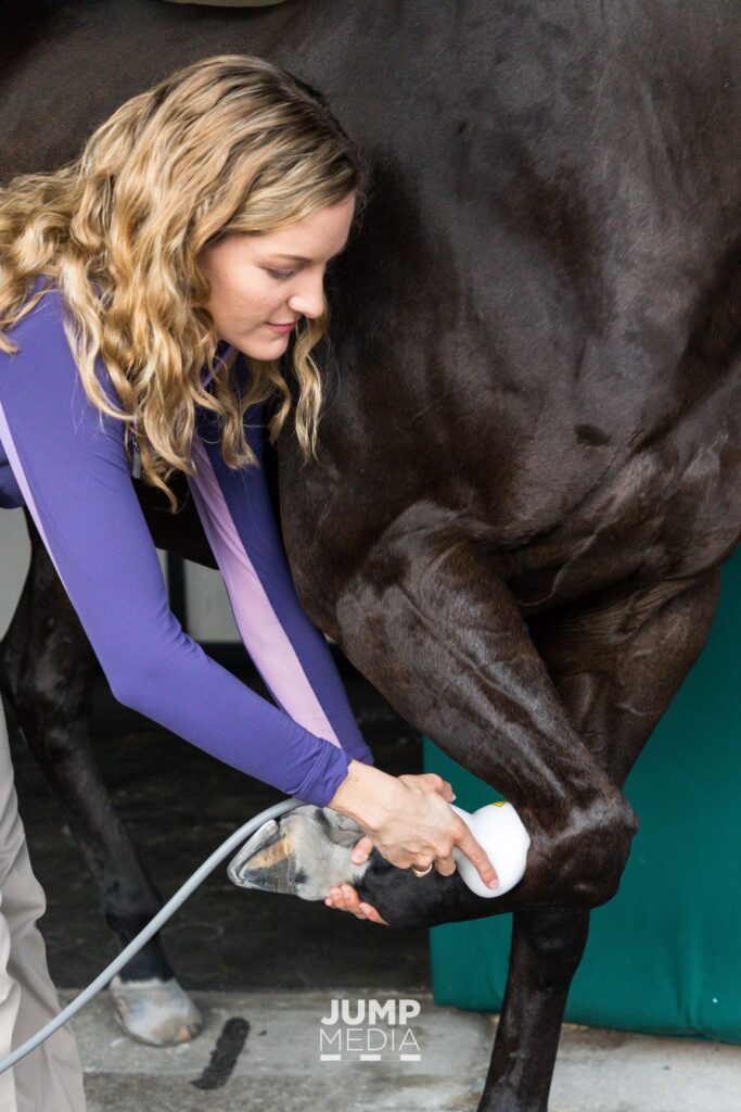 Marilyn Connor shockwave therapy palm beach equine clinic website size