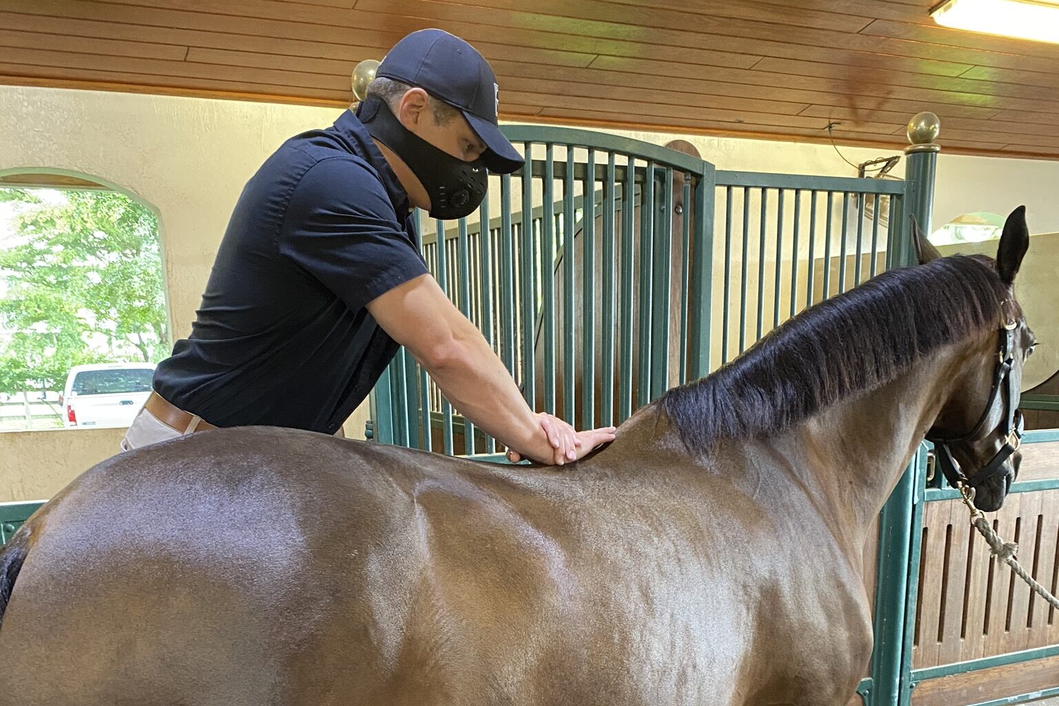 Palm Beach Equine Clinic Veterinarian Dr. Ryan Lukens Veterinary Chiropractic Adjustment Manipulation vertebrae