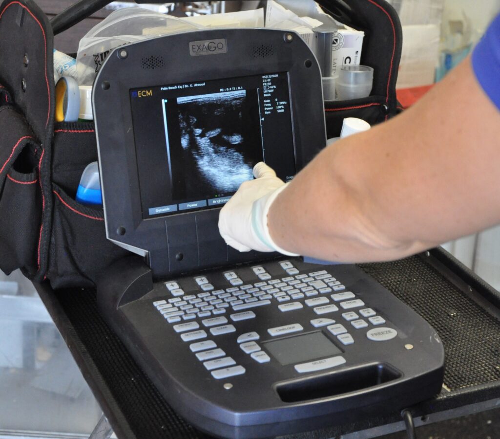 breeding mare ultrasound exam by reproduction equine veterinarian Dr. Katie Atwood