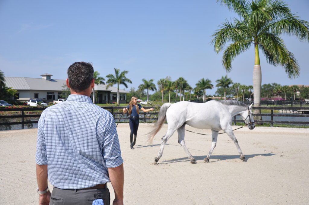 Palm Beach Equine Clinic veterinarian Dr. Bryan Dubynsky performance evaluation on the lunge line before administering a self-derived biologic treatment. 