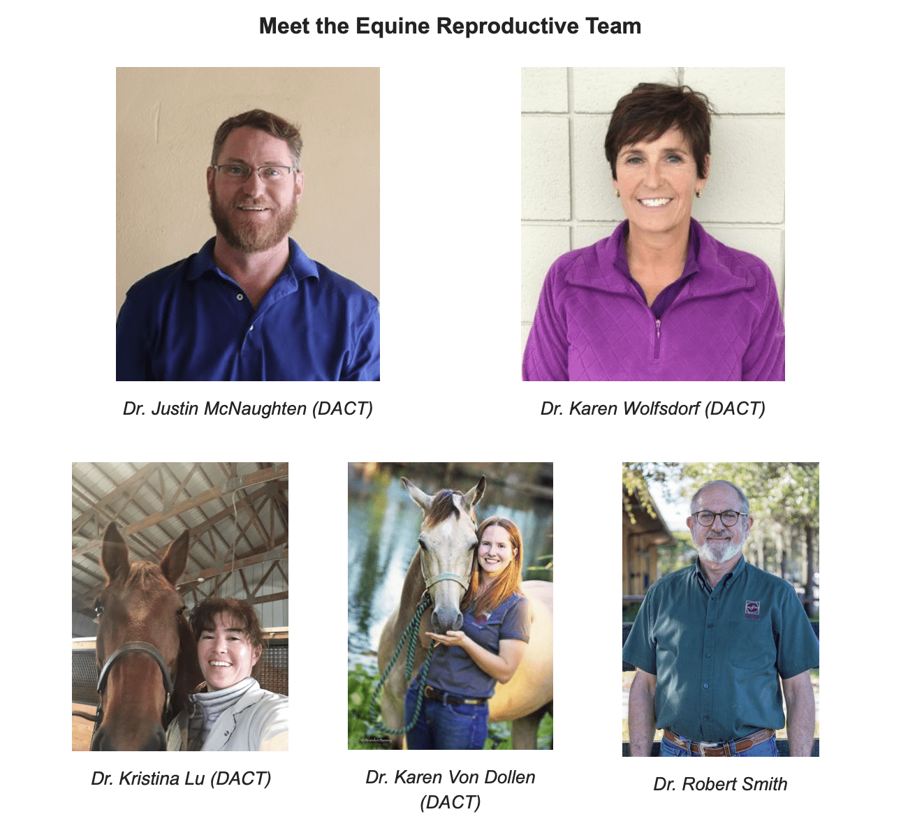 Palm Beach Equine Clinic Announces Partnership With Hagyard Equine ...