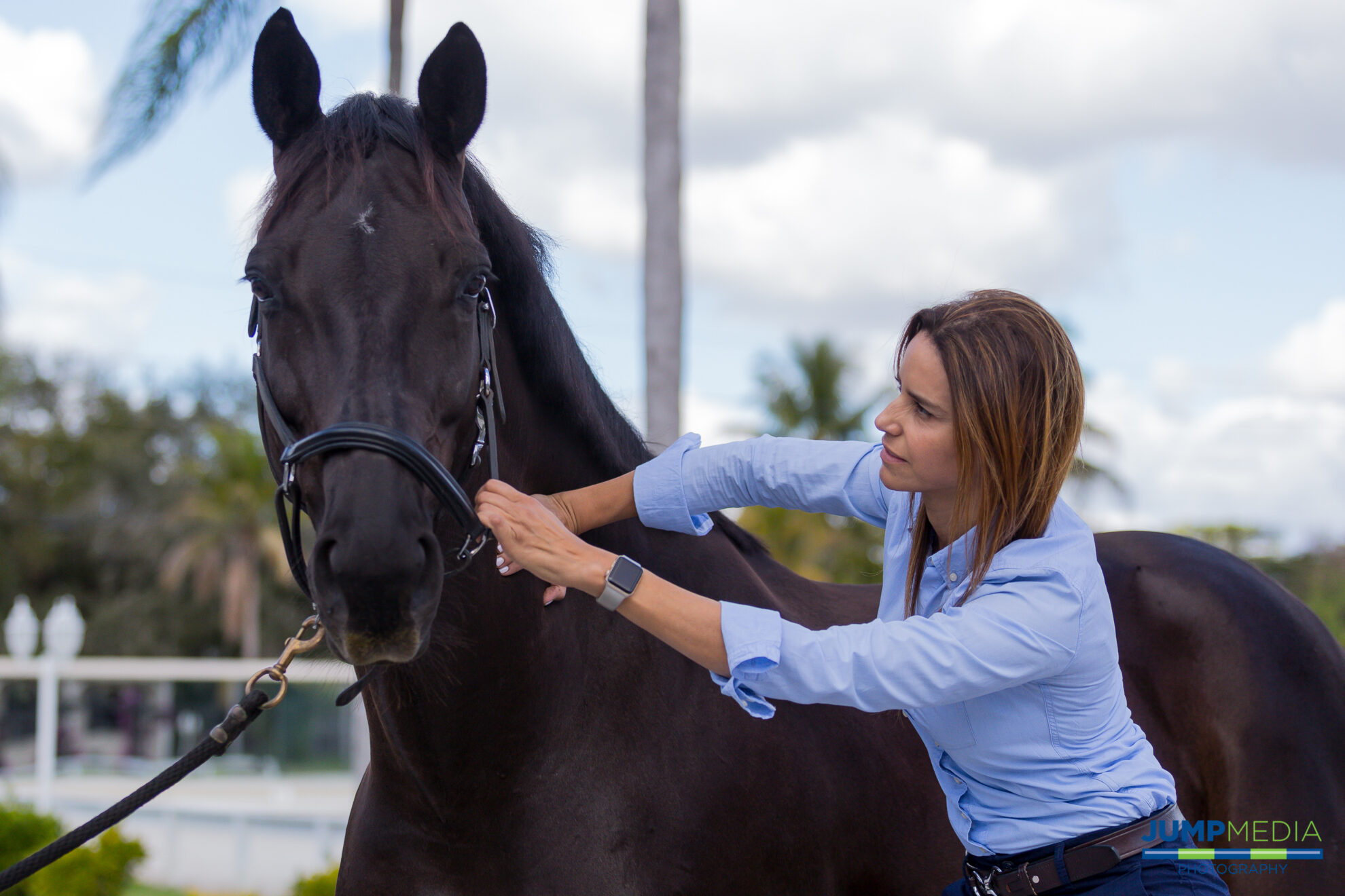 Always On Call for Wellington Equines Palm Beach Equine Clinic
