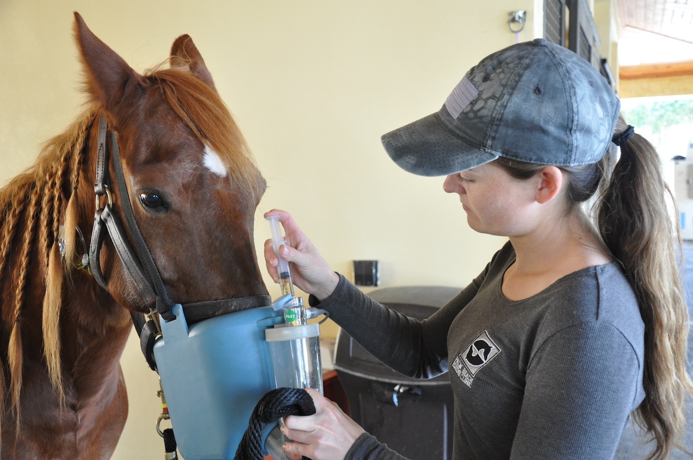 Palm Beach Equine Clinic Veterinary Technician Highlight Sarah Panico Palm Beach Equine Clinic