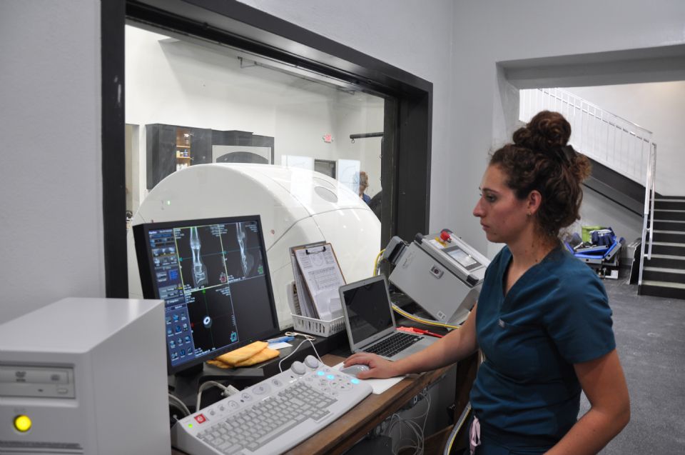 Palm Beach Equine Clinic Announces Addition of State-of-the-Art CT Scanner for Advanced Diagnostic Imaging