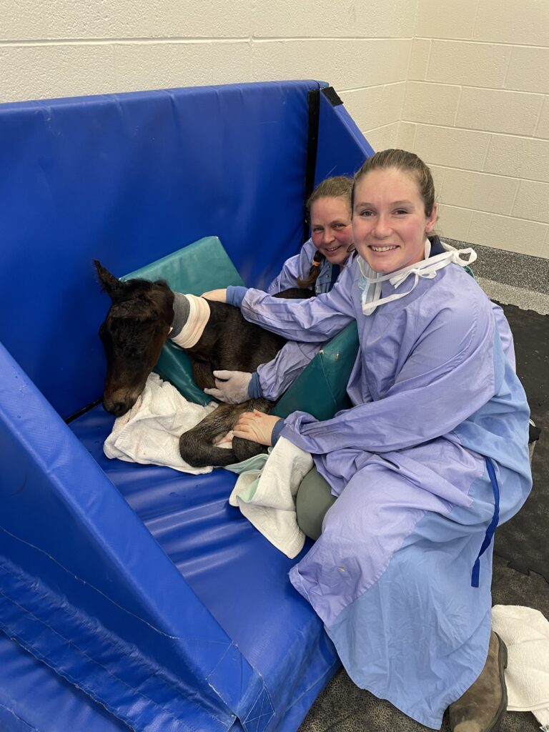 Dr. Lacey is the new equine internal medicine specialist at PBEC. Photo courtesy of Dr. Emilee Lacey