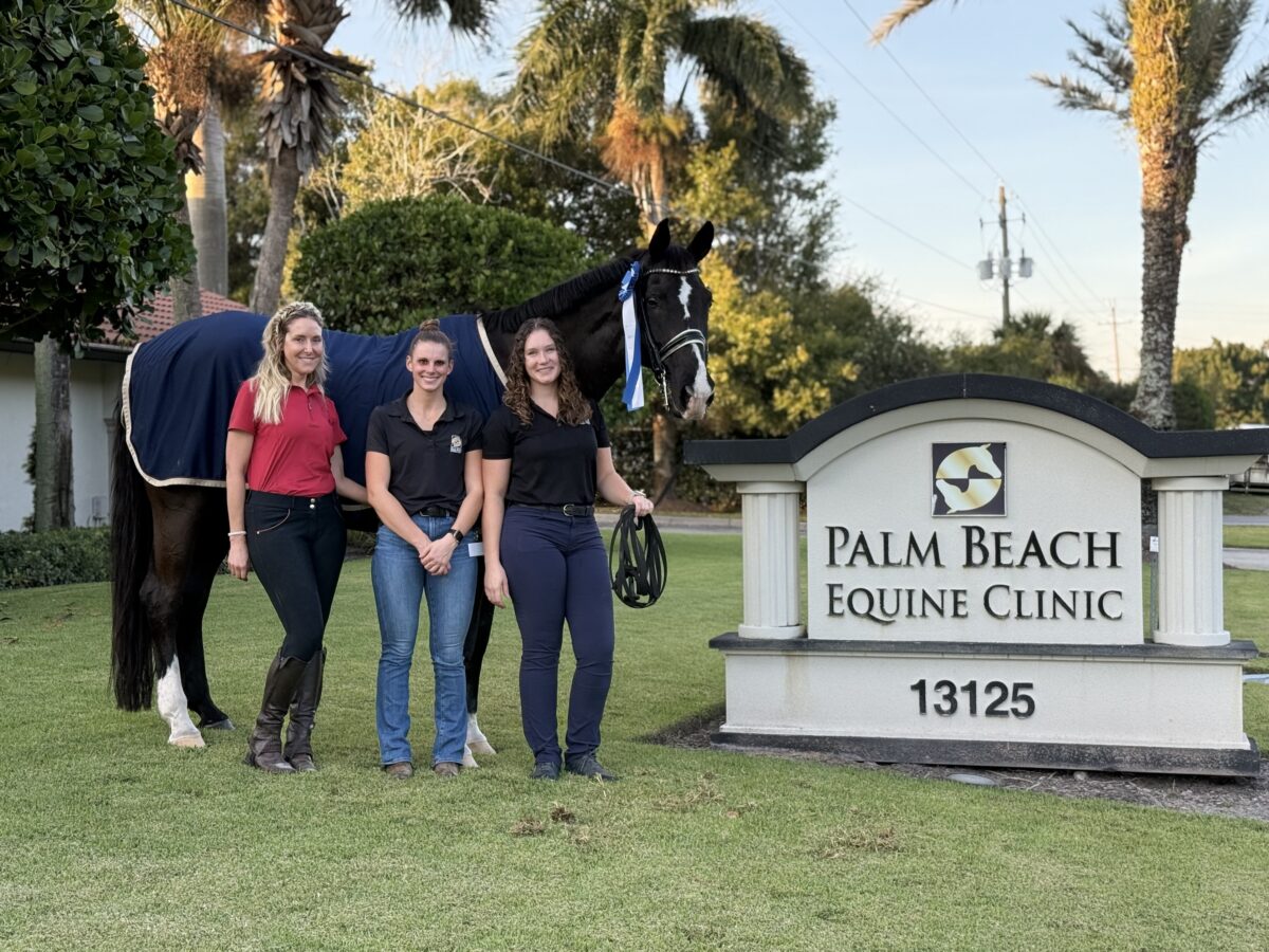 G6’s Heartwarming Road to Recovery at Palm Beach Equine Clinic